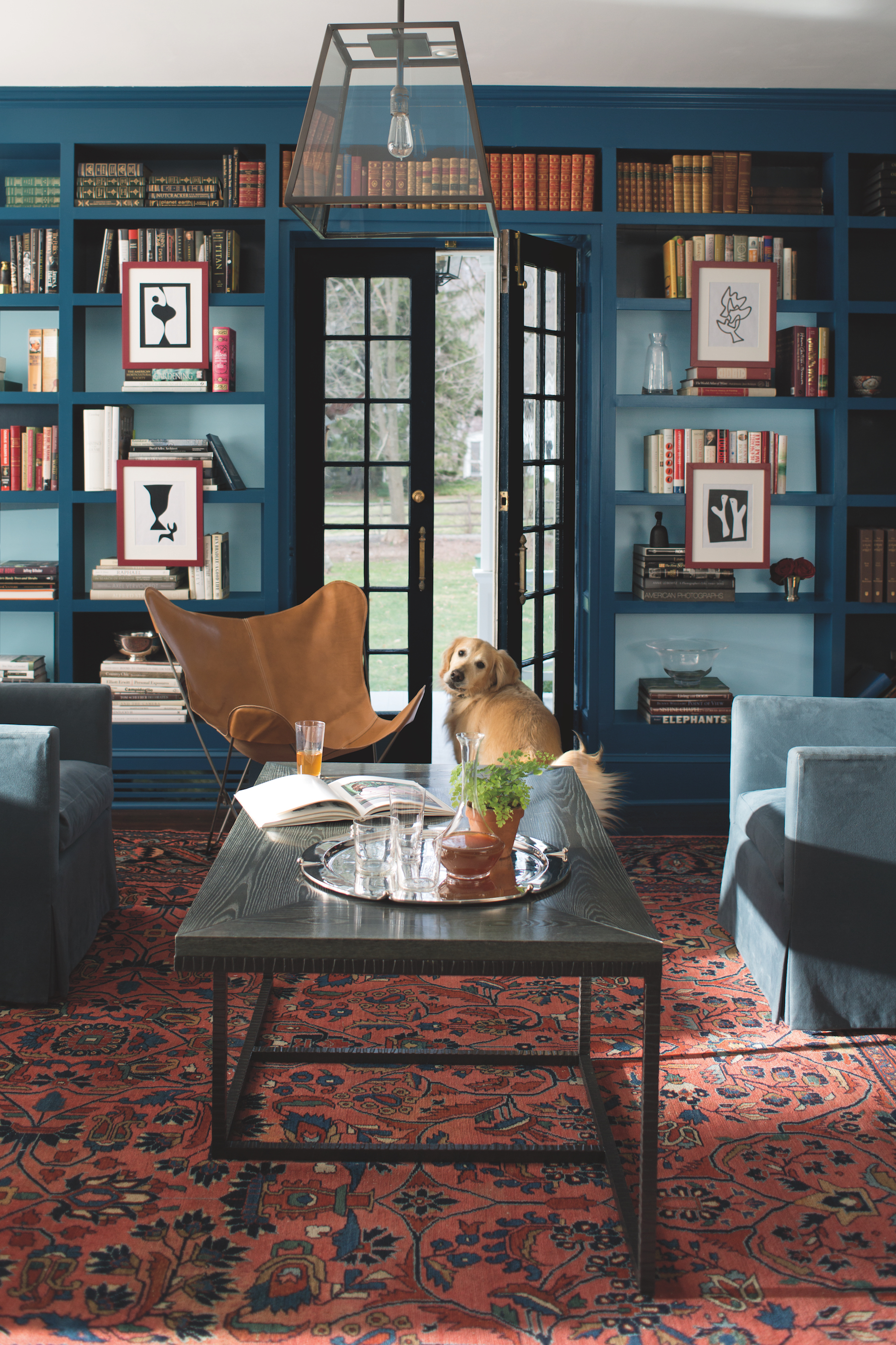 Blue_Library_with_Dog (1)